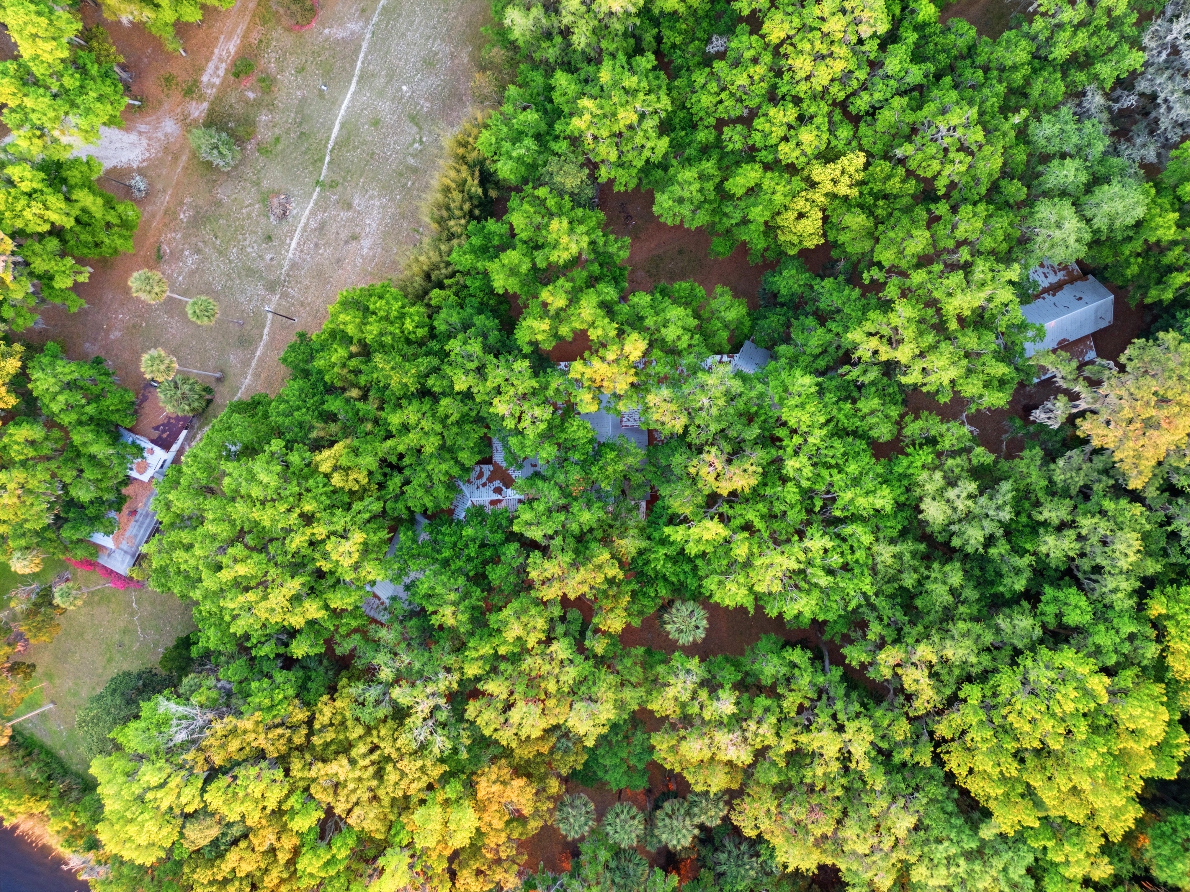 Top-down aerial view