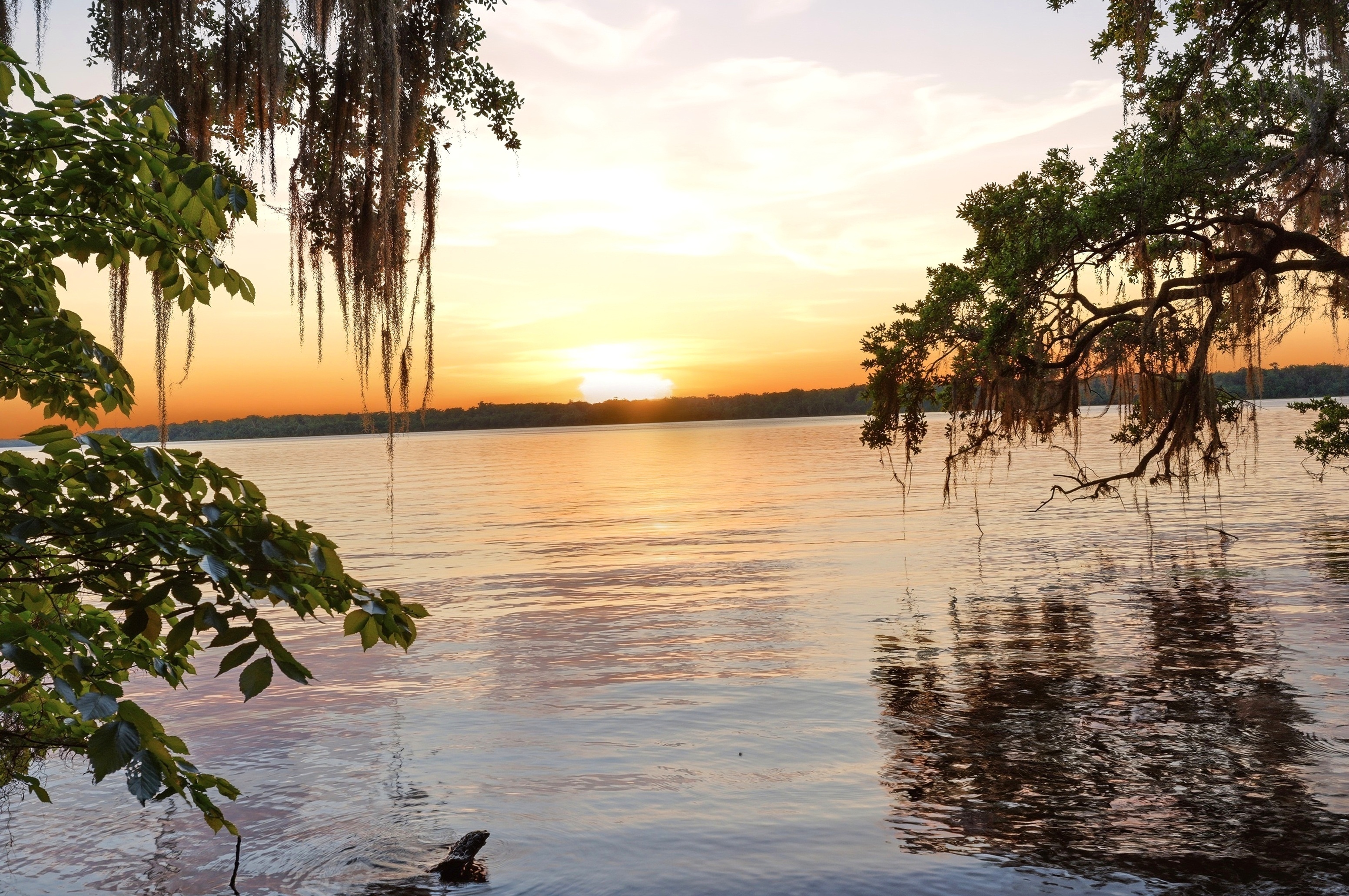 Sunset on the St. Johns River